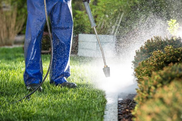 Cost of Curb Cleaning in Lenoir City
