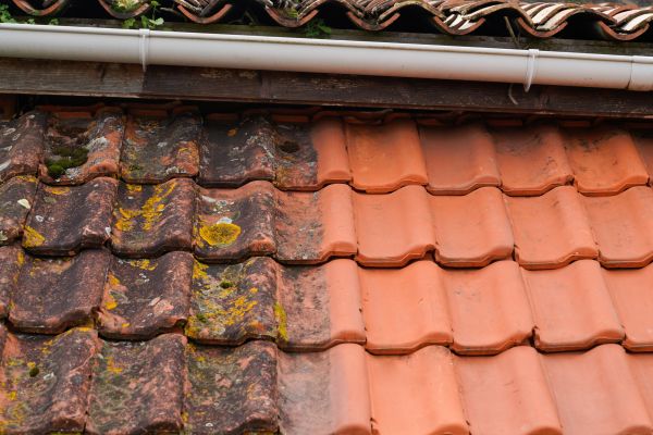 Industrial Roof Cleaning in Lenoir City